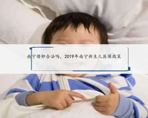 南宁借卵合法吗，2019年南宁新生儿医保政策