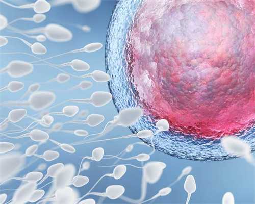 供卵自怀优去坤和助孕预约,供卵自怀优来坤和助孕预约