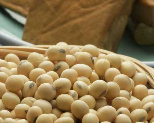 北京市供卵试管助孕机构排名_北京市供卵试管助孕机构名单