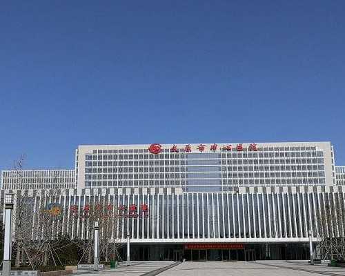 广东助孕试管婴儿医院(广东试管婴儿助孕平台)