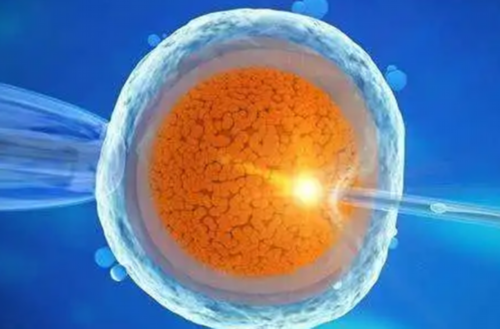 (乐陶陶)人工助孕要多久