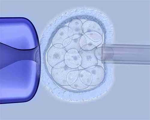 NRC医院王盈汝医师:诺亚国际生殖中心的高级胚胎师