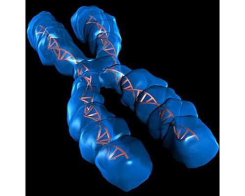 合肥最大助孕公司-试管助孕生子助孕机构