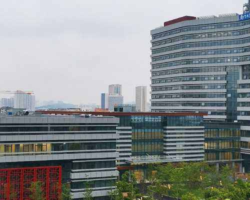 卵子为什么会变差 如何养好卵子避免不孕