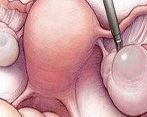 代怀生子机构，甲胎蛋白偏高说明什么（甲胎蛋白偏高说明什么问题）