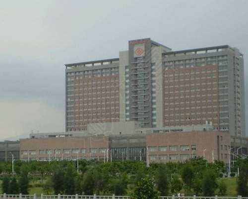 试管婴儿精子卵子结合要多久(试管婴儿精子卵子怎么结合)