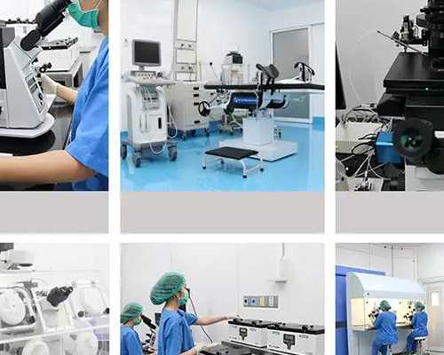 代生包性别吗_代生包女孩,
              怀孕上身3一4天征兆中有体温升高吗？
