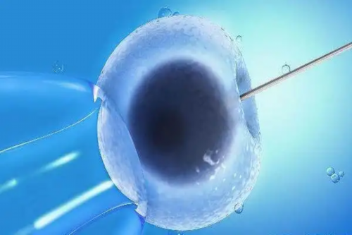 武汉代怀靠谱么&借卵生子全部费用,
              准备五万元去武汉做试管婴儿够