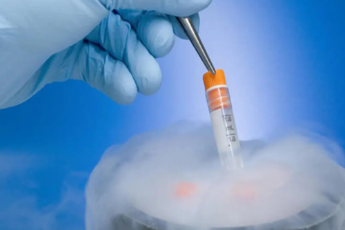 2026武汉未婚做试管机构怎么选择！在武汉市试管成功率排名！