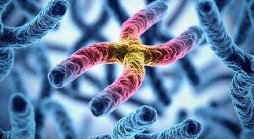 助孕包成功价格_助孕包性别中介,怀孕内分泌失调怎么办？