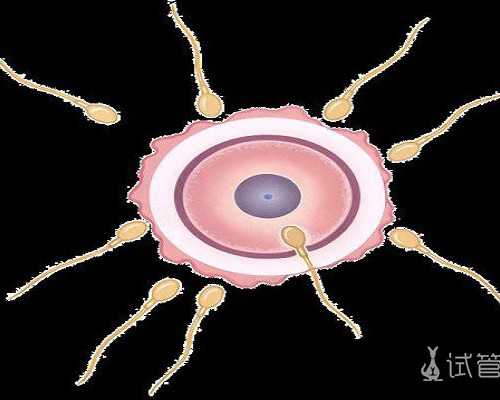 枣庄三代试管还会染色体异常吗