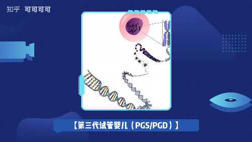 胚胎移植过程(胚胎移植导管)