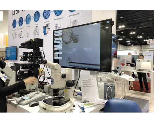 代生费用包成功_65万包生男孩,孕期高血压易患子痫前症,及时诊治预防早产