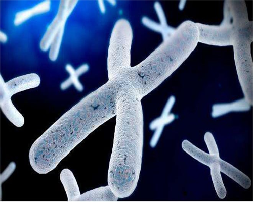 武汉郝运国际助孕中心