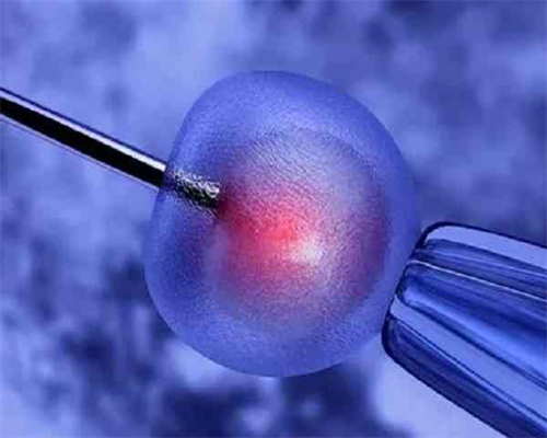 高龄女性助孕都有什么方式，以及助孕的注意事项