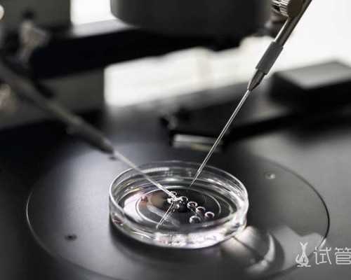 2026四平中心医院试管代孕婴儿指引，费用及成功率参考