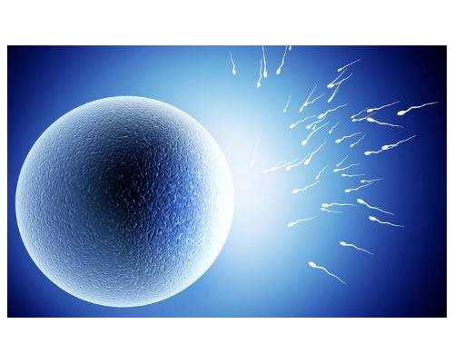 代怀包成功流程_口碑好助孕包成功,河北省做试管生宝宝要多少钱呀