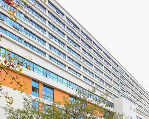 移植的胚胎有多大(移植的胚胎有多大)