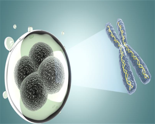 武汉地区有哪些私立的机构可以做试管技术！千万不要嘴馋！