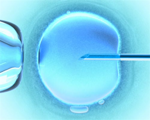 靠谱的代孕电话_代孕产子机构包成功,
              人工移植周期子宫内膜era着床