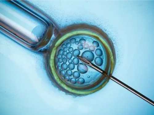 界首供卵公司，全村99%全助孕