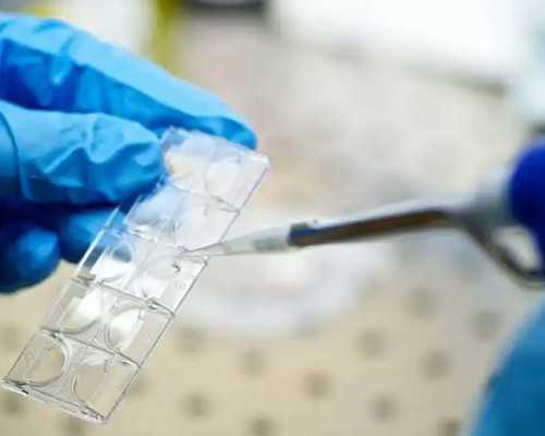 2026代孕网_试管包男孩靠谱吗,试管冷冻胚胎移植后有什么感觉吗 试管移植冷冻