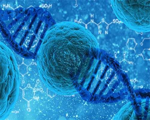 武汉试管助孕生子助孕机构