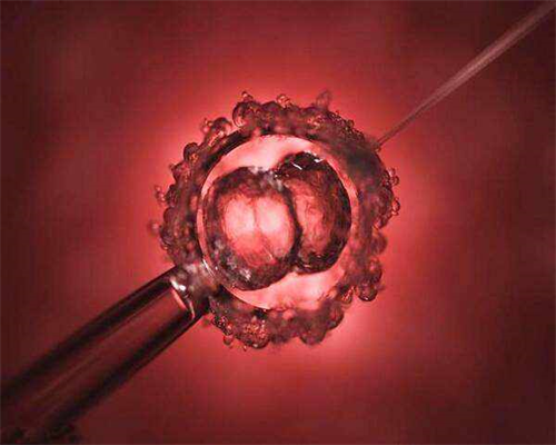 武汉代怀孕正规吗_武汉捐卵成功医院,武汉正规做试管婴儿医院名单，来看看你