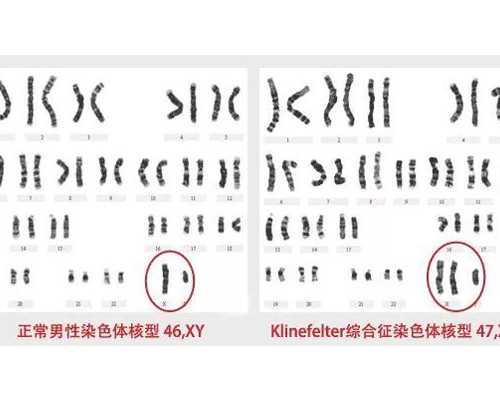 武汉助孕生子三代试管价格多少？花三分钟读懂