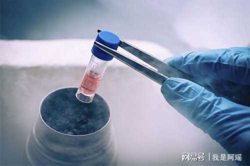 上海添禧试管助孕中心